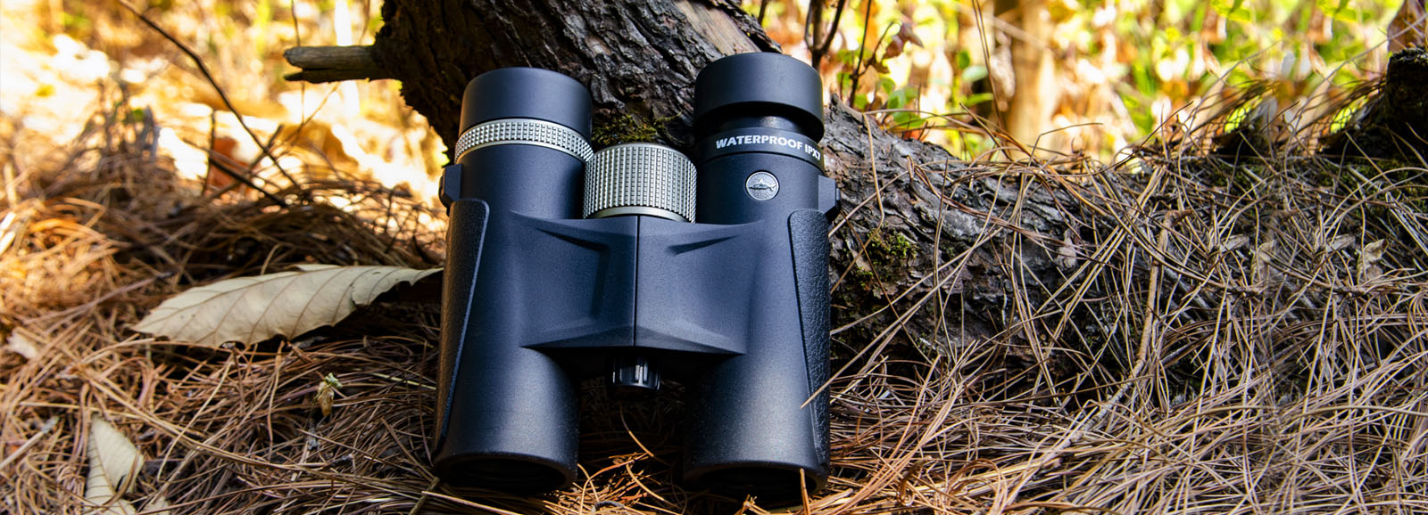 Asika β HD Binoculars